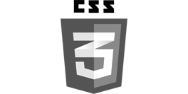 css3logo